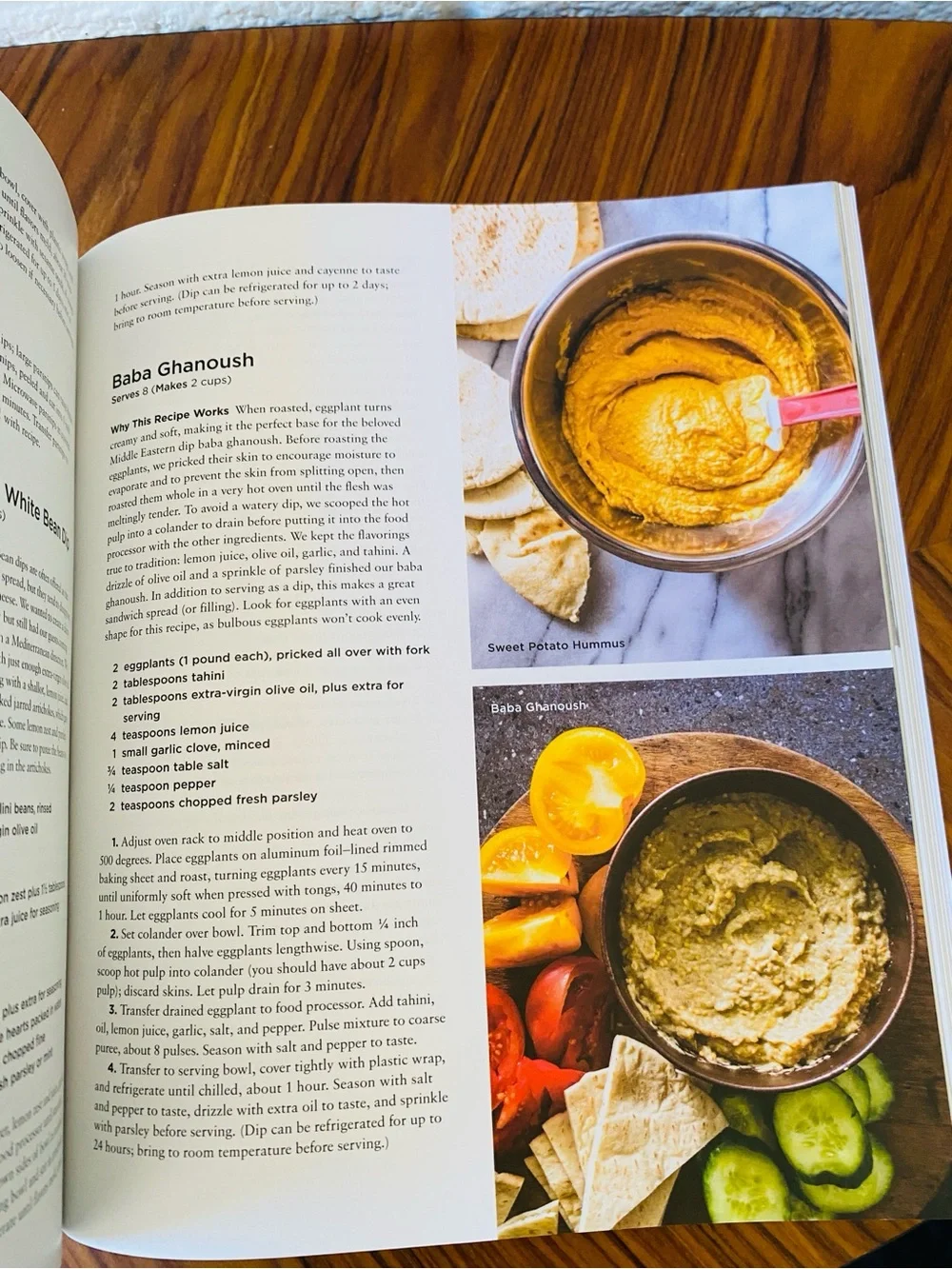 America's Test Kitchen The Complete Plant-Based Cookbook Recipes Cottagecore